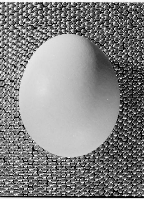 egg-contrast-2-s.JPG